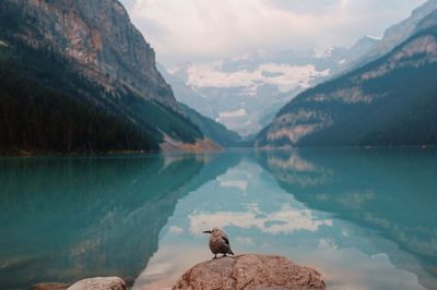 Scenic view of lake and mountains against sky