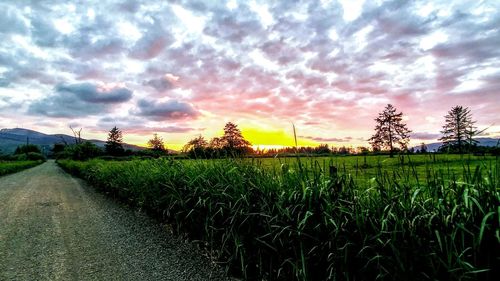 Scenic view of field against sky during sunset