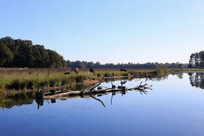 Scenic view of lake against clear blue sky