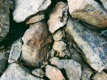 Full frame shot of rocks