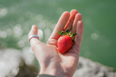 Cropped hand holding strawberry