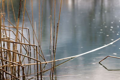 Close-up of water in lake