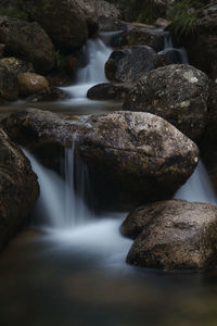 Scenic view of waterfall in forest