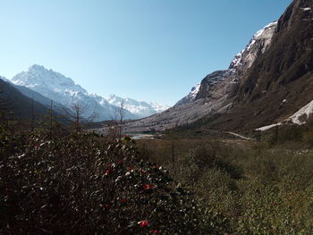 Scenic view of snow covered mountains