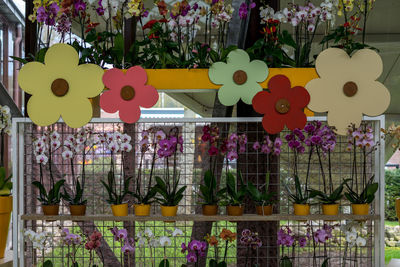 Multi colored flowers in shop for sale at street market