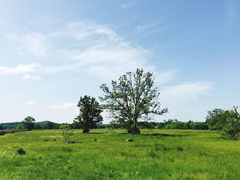 Scenic view of grassy field against cloudy sky