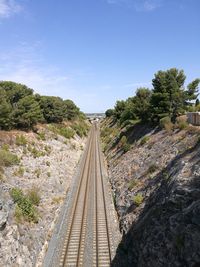 Railroad tracks amidst trees against sky