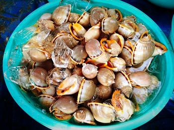 High angle view of seafood in market for sale