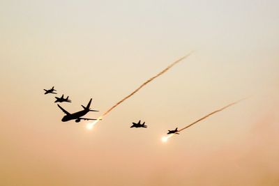 Low angle view of silhouette birds flying against clear sky