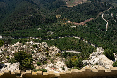 High angle view of trees on landscape