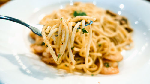 Close-up of pasta in plate