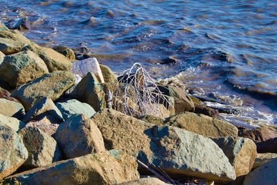 High angle view of rocks on beach