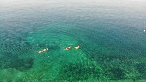 High angle view of people swimming in sea