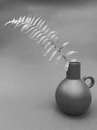 Close-up of plant on table against white background