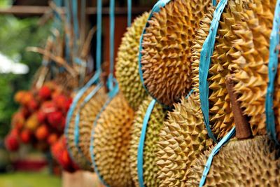 Close-up of jackfruit hanging for sale in market