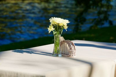 Close-up of daisy flowers on table