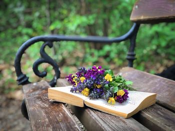 Close-up of purple flower on table in park