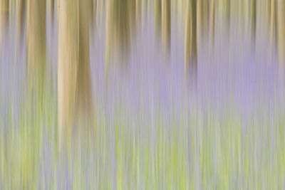 Full frame shot of abstract background