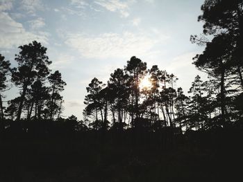 Low angle view of silhouette trees against sky during sunset