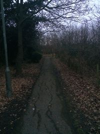 Dirt road amidst trees