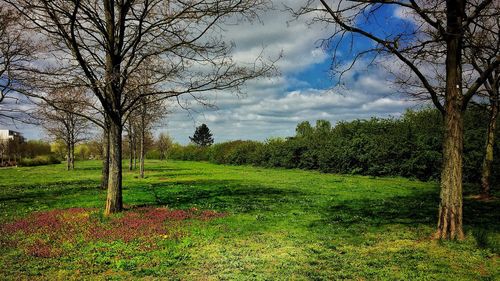 Scenic view of grassy field against cloudy sky