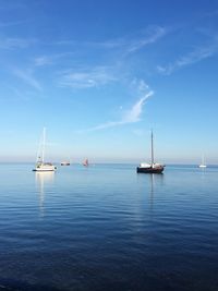 Sailboats in sea against blue sky