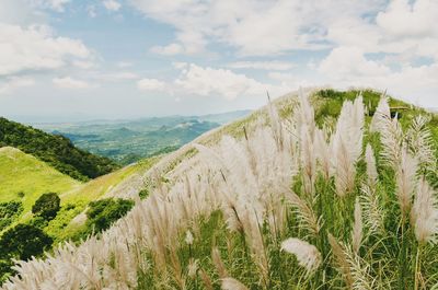 Scenic view of mountains against cloudy sky