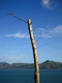 Scenic view of landscape against blue sky