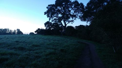 Trees on field against clear sky