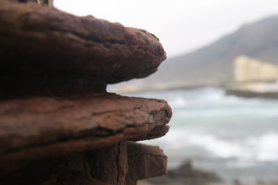 Close-up of rusty metal against sea