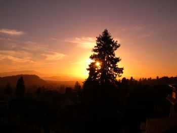 Silhouette trees on field against orange sky