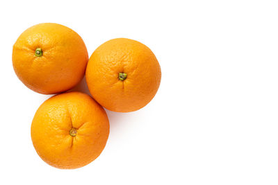 High angle view of oranges against white background