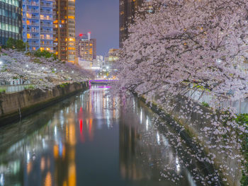 Reflection of illuminated buildings in water