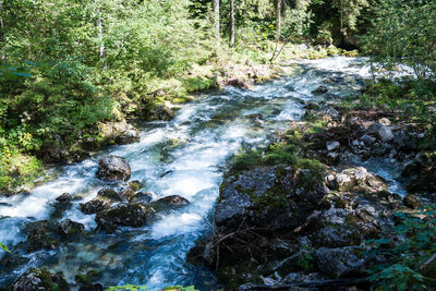 River flowing through rocks