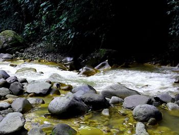 Rocks in stream by river in forest