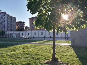 View of building with trees in foreground