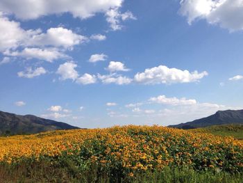 View of field against sky