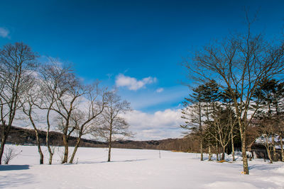 Bare trees on snow covered field against sky