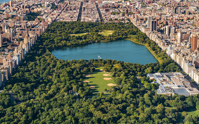 Lake and trees amidst buildings in city