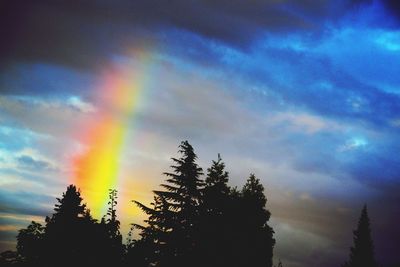 Low angle view of rainbow over trees against sky