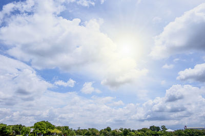 Low angle view of trees against sky