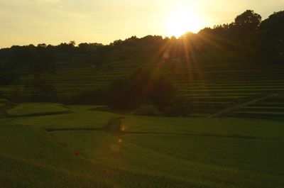 Scenic view of field against sky at sunset