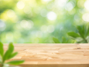 Close-up of food on table