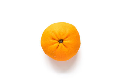 Close-up of orange against white background