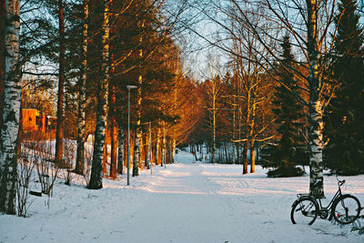 Snow covered road amidst trees during winter