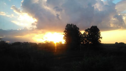 Silhouette trees on field against sky during sunset