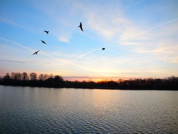 Birds flying over lake against sky during sunrise