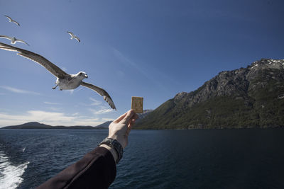 Seagull flying over sea against sky