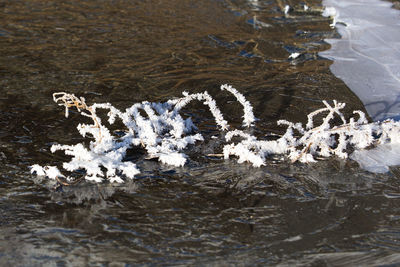 Full frame shot of water