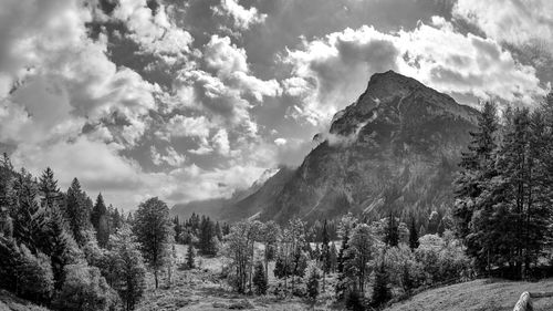 Panoramic view of trees and mountains against sky